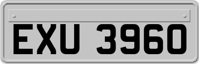 EXU3960