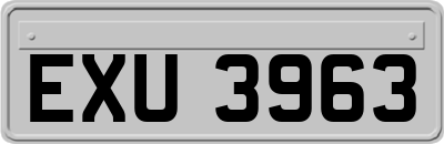 EXU3963