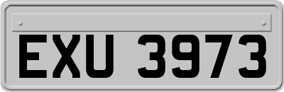 EXU3973