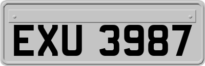 EXU3987