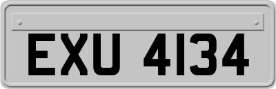 EXU4134
