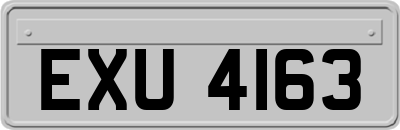 EXU4163