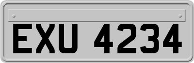 EXU4234