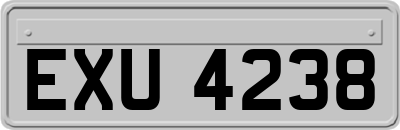 EXU4238
