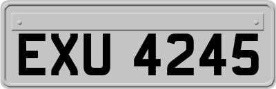 EXU4245