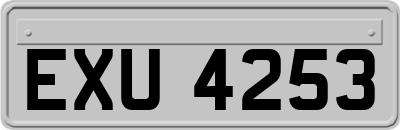EXU4253