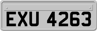 EXU4263