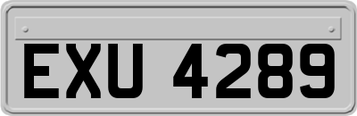 EXU4289