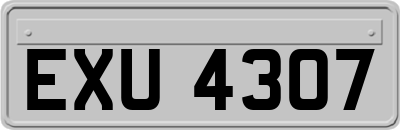 EXU4307
