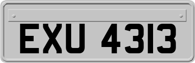 EXU4313