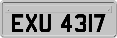 EXU4317