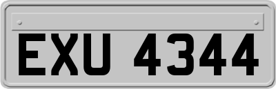 EXU4344