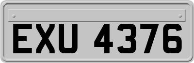 EXU4376