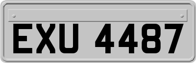 EXU4487