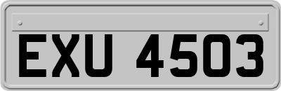 EXU4503