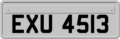 EXU4513
