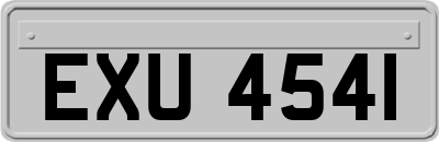 EXU4541