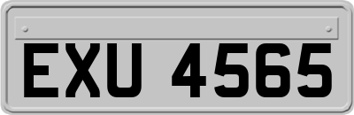 EXU4565