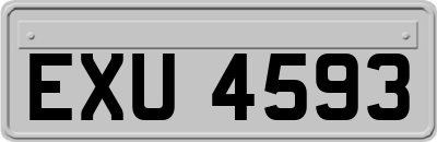 EXU4593