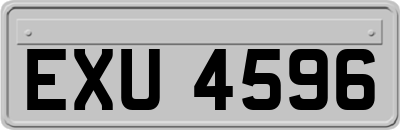 EXU4596