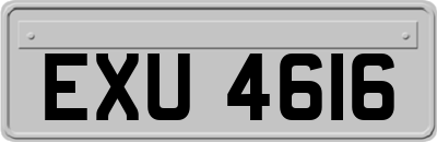EXU4616