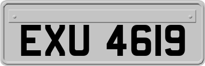 EXU4619