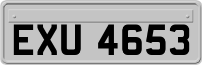 EXU4653