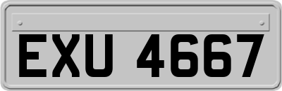 EXU4667