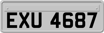 EXU4687