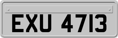 EXU4713
