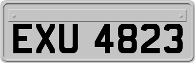 EXU4823