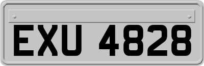 EXU4828