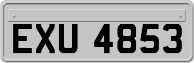 EXU4853