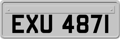 EXU4871