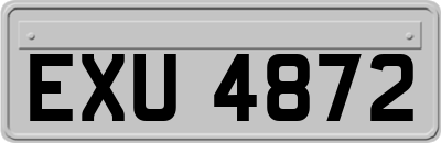 EXU4872