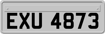 EXU4873