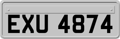 EXU4874