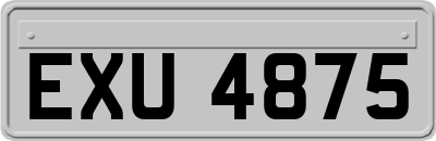EXU4875