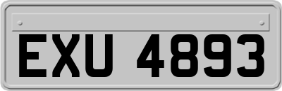 EXU4893