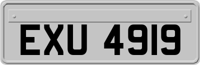 EXU4919