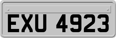 EXU4923