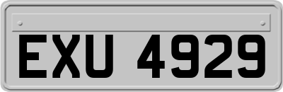 EXU4929