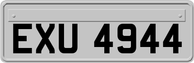EXU4944