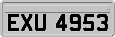 EXU4953