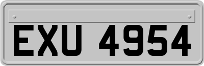 EXU4954