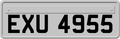 EXU4955