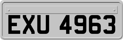 EXU4963