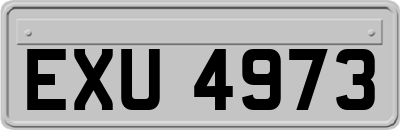 EXU4973