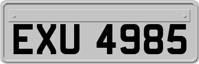 EXU4985