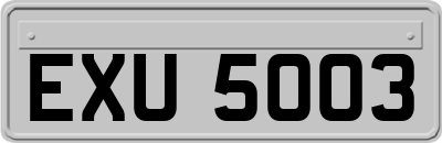 EXU5003